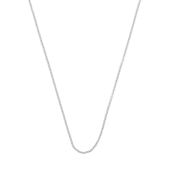 Silver Chain