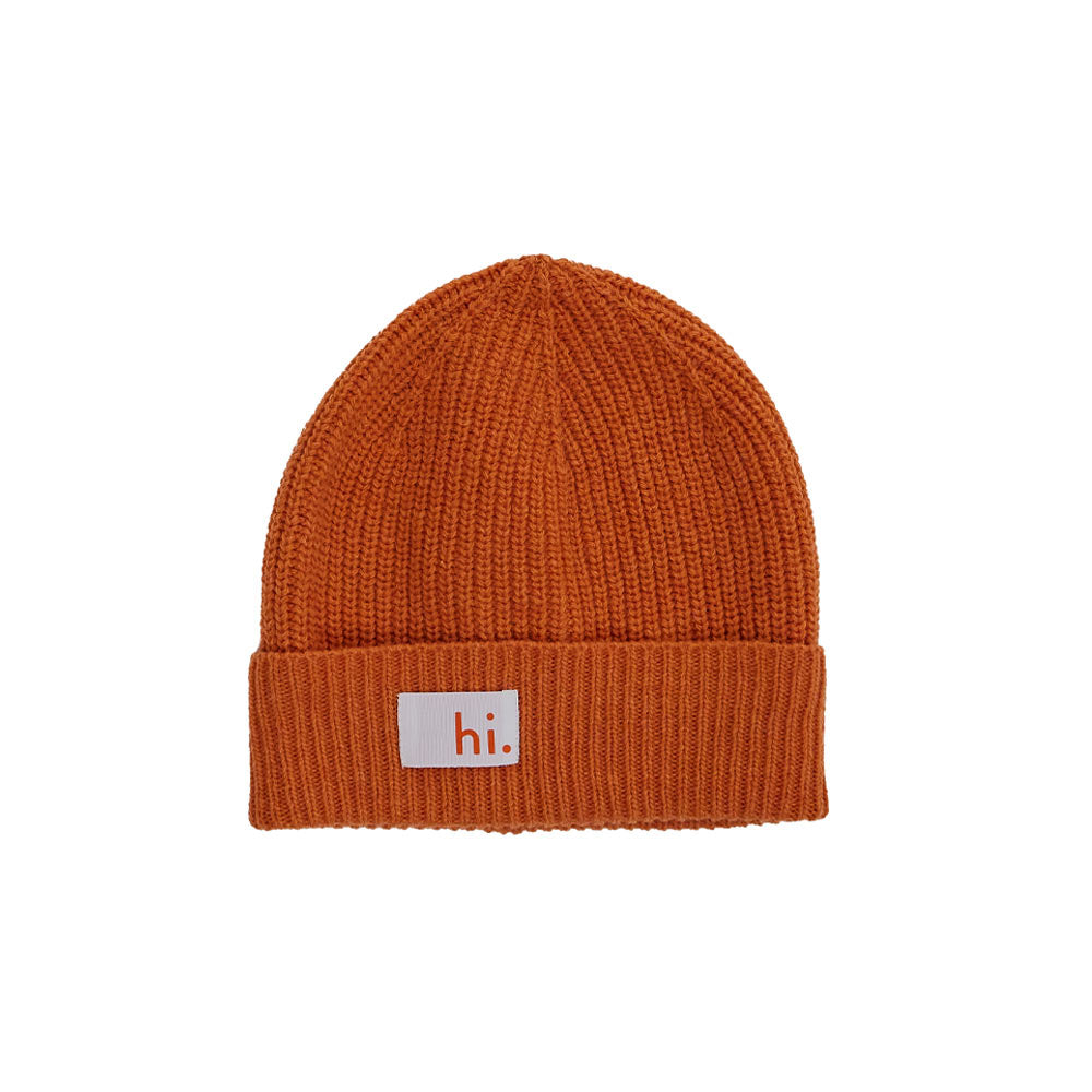 DL Beanie